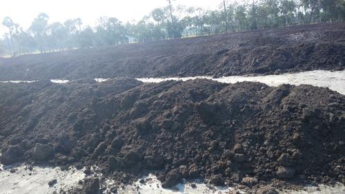 Press Mud Compost