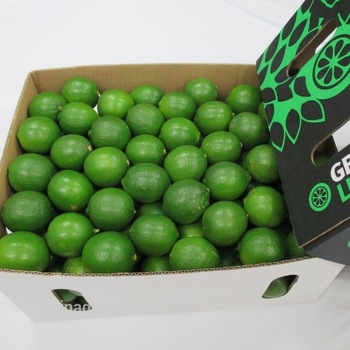 Fresh Green Lime