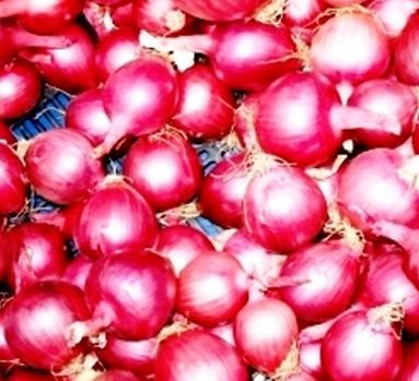 Fresh red onion For Cooking