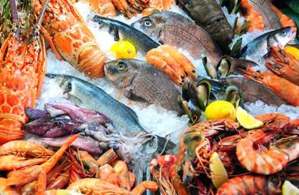 Frozen Seafood, Pack Size : 1 to 10 Kg