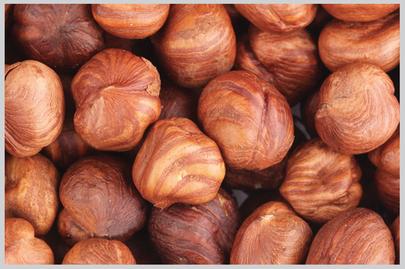 Hazelnut Kernels