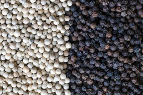 Black pepper, Drying Process : Natural, Sun Dry, Air Dry
