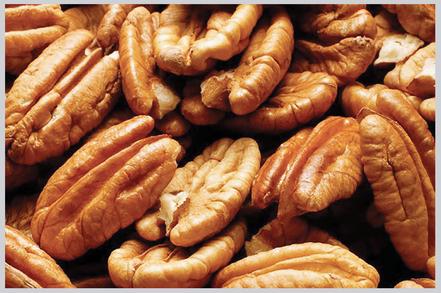 Pecan Kernels