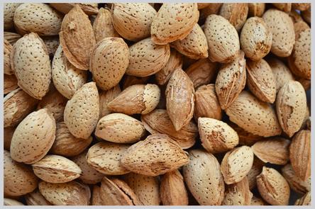 Shelled almonds