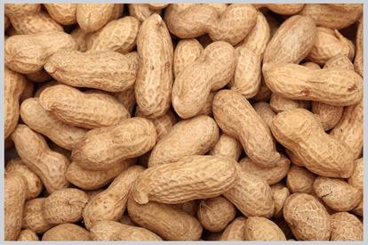 Shelled Peanuts, Country of Origin : India