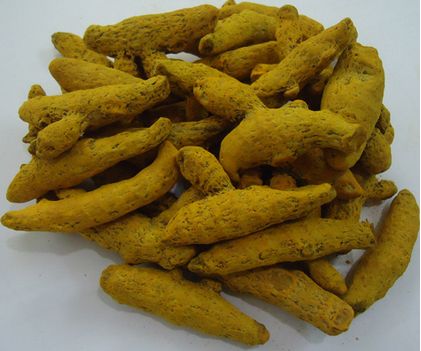 Turmeric finger, Storage : Cool, Dry Place