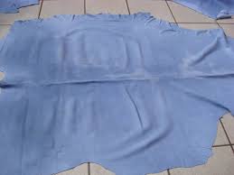 Wet Blue Cattle Hides