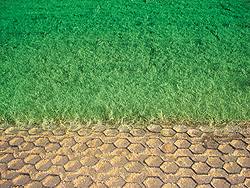 PVC Grass Pavers