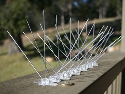 Polycarbonate Bird Spikes