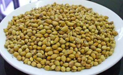 Coriander seeds, Brand Name : Shri Narayan Swami Enterprises