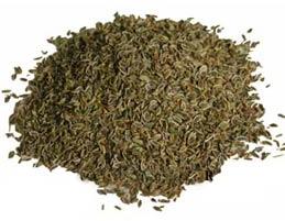 Dill Seeds Specialities : Good Quality, Good For Health