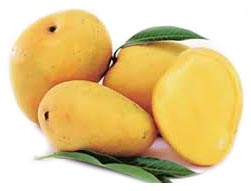 Banganpalli Mango