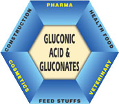 Gluconic Acid