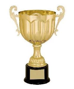 Metal Award Cup