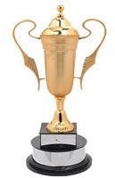 Polished Plain Metal Sports Trophy, Style : Antique