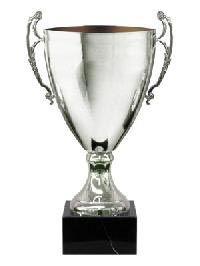 Metal Trophy Cup