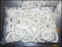 Frozen Squid