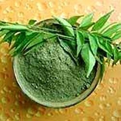 Dehydrated Curry Leaves Powder