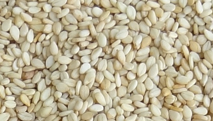 Sesame seeds, Shelf Life : 12 Months