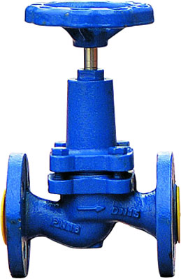 Ci Valves