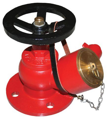 Landing Valve