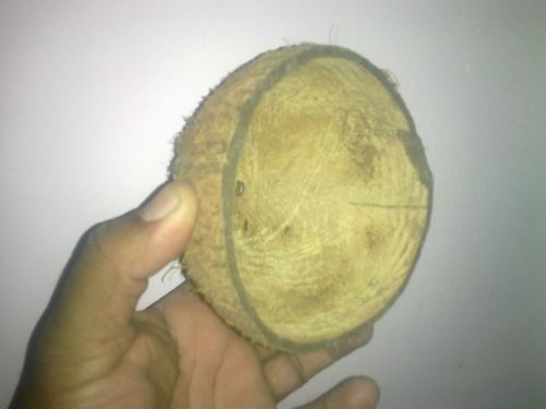 Coconut Shell, Color : Brownishe