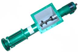 BW Series Screw Pump