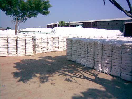 Cotton bales, Packaging Size : 160 Of Per Bales