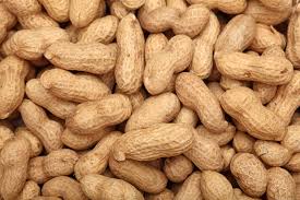 Groundnut kernel