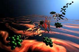 Phthalic Anhydride, For Industrial