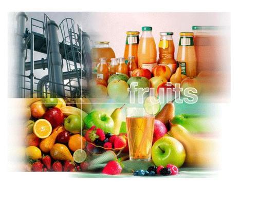 Fruit Juice Processing Plant
