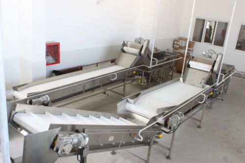 Vegetable Processing Machinery