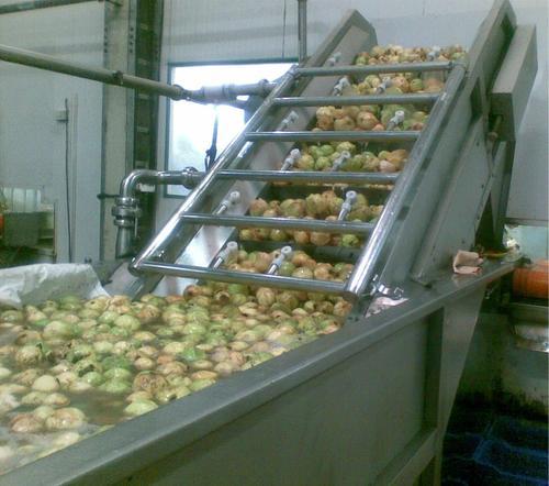 Papaya Processing Machinery