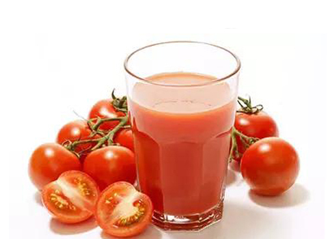 Tomato Ketchup Processing Plant