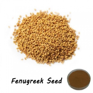 NKT Fenugreek Seed Extract Pharmaceutical food grade
