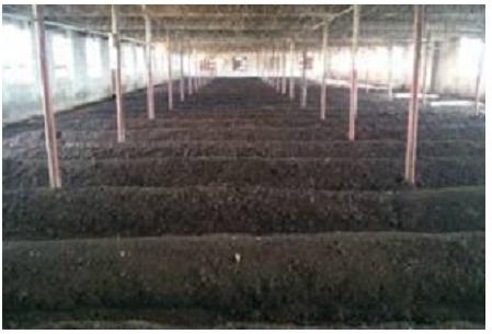 Organic Vermicompost Fertilizer, Packaging Size : 50 To 100 Kg