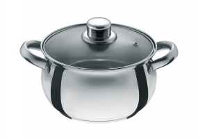 Stainless Steel Cooking Pot