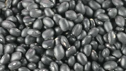 Urad dal, Cultivation Type : Natural