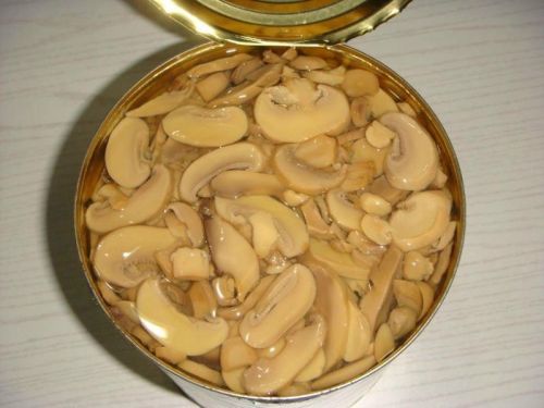 Canned mushroom, Packaging Type : BULK