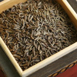 Caraway Seeds,dill Caraway Seeds, Certification : SGS