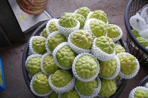 Custard apple, Certification : SGS, Grade : AA