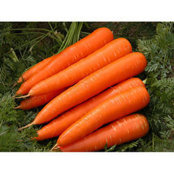 Fresh carrot, Quality : A Grade