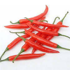 Fresh Red Chilli, Certification : SGS