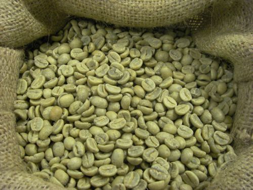 Green Arabica Coffee Beans, Packaging Type : BULK