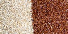 Quinoa Seeds