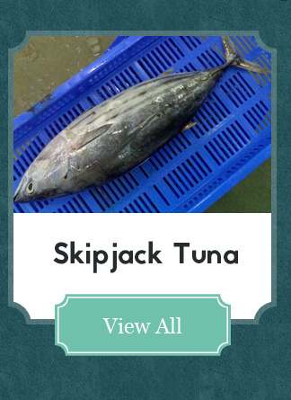 Skipjack Tuna