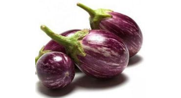 Fresh Brinjal