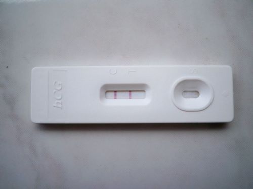 Pragnacy Testing Kit