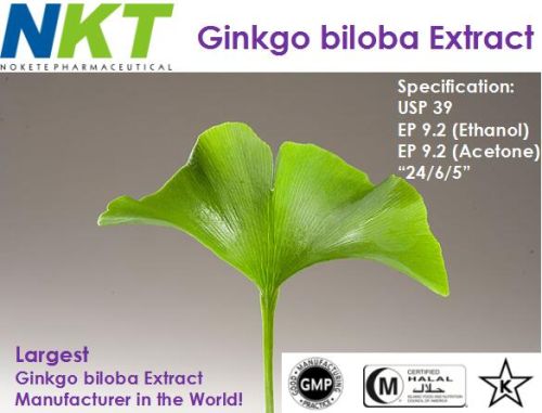 Ginkgo Biloba Extract, Packaging Type : 25kg/drum, Form : Powder