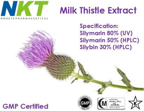 Milk Thistle Extract, Form : Powder